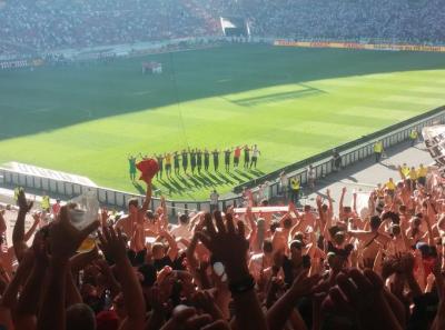 Vfb Sge 019